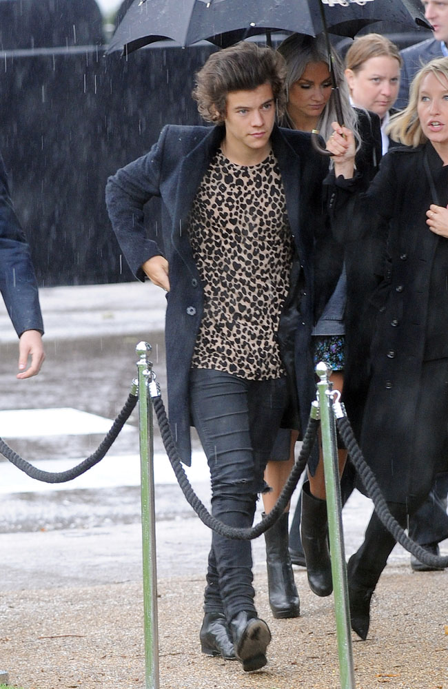Harry Styles Harry Styles