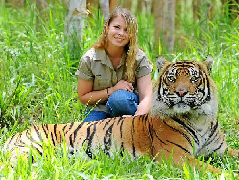 Bindi Irwin enjoys a close relationship with sumatran tiger Bashii. Bindi Irwin enjoys a close relationship with sumatran tiger Bashii.