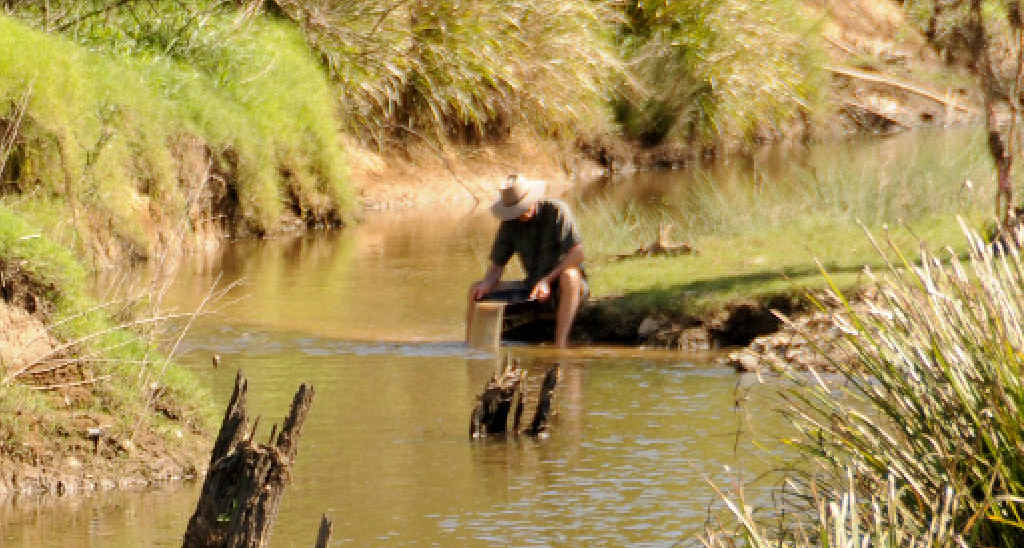 A fossicker pans for gold in Gympie’s Deep Creek public fossicking area. The state government has moved to make fossicking licenses easier to obtain. A fossicker pans for gold in Gympie’s Deep Creek public fossicking area. The state government has moved to make fossicking licenses easier to obtain.