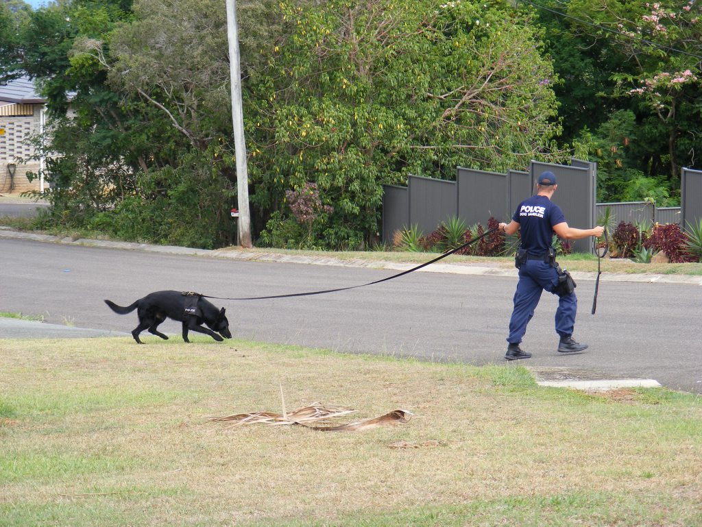 A police canine unit on the job. File photo. A police canine unit on the job. File photo.