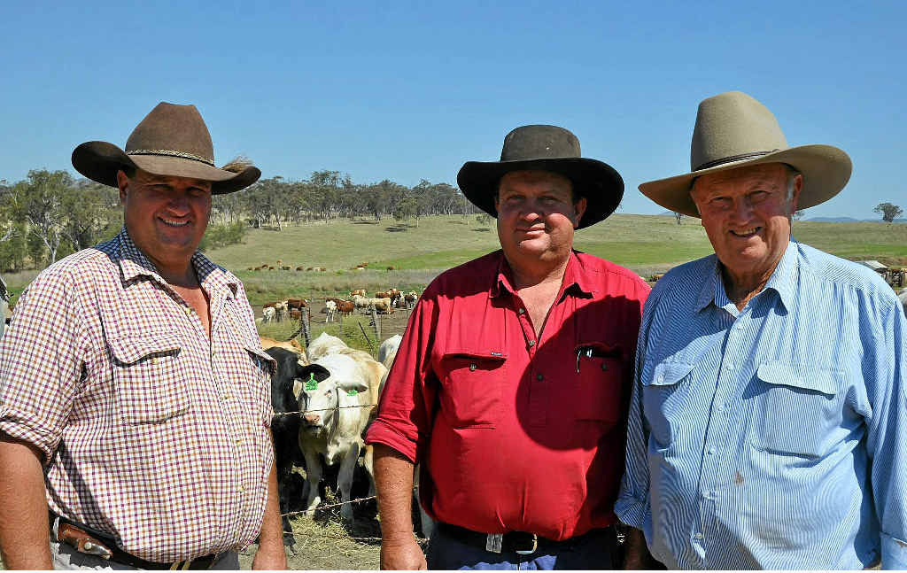 Angus, Howard and Bill Gross are part of the Gross Wholesale Meats family empire. Angus, Howard and Bill Gross are part of the Gross Wholesale Meats family empire.