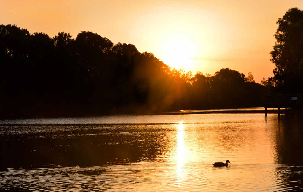 GET FIRE READY: A haze over Maroochydore on October 11, and firefighters say it is just the start. GET FIRE READY: A haze over Maroochydore on October 11, and firefighters say it is just the start.