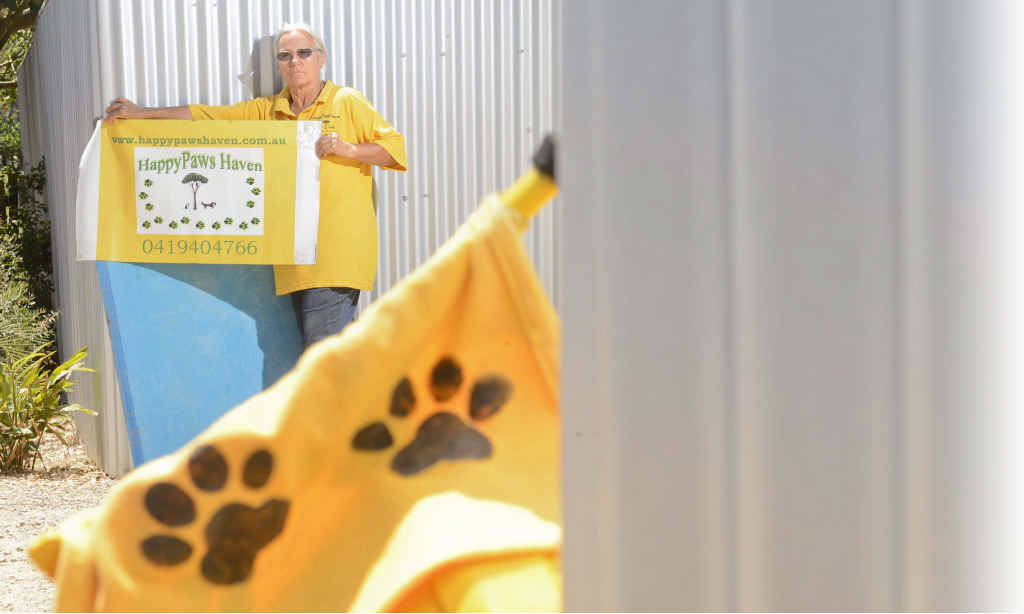 JUST THE FACTS: Sally Rogers with the Happy Paws signs she is using to counter signs put up around her Eatonsville property. Photo: Adam Hourigan JUST THE FACTS: Sally Rogers with the Happy Paws signs she is using to counter signs put up around her Eatonsville property. Photo: Adam Hourigan