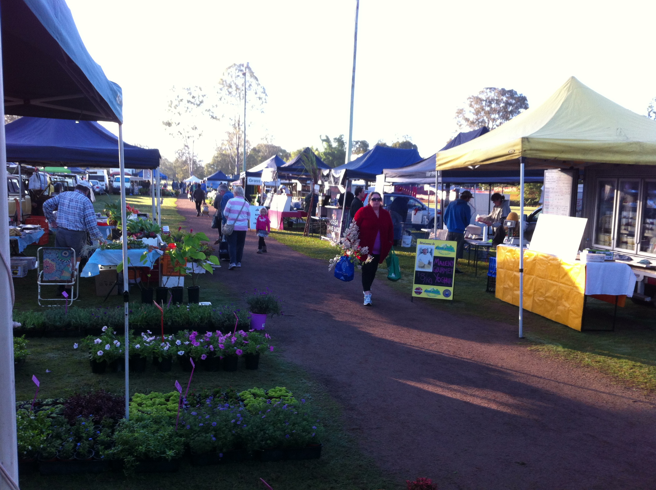 Don't your coin purse...Here's the best Coast markets Sunshine