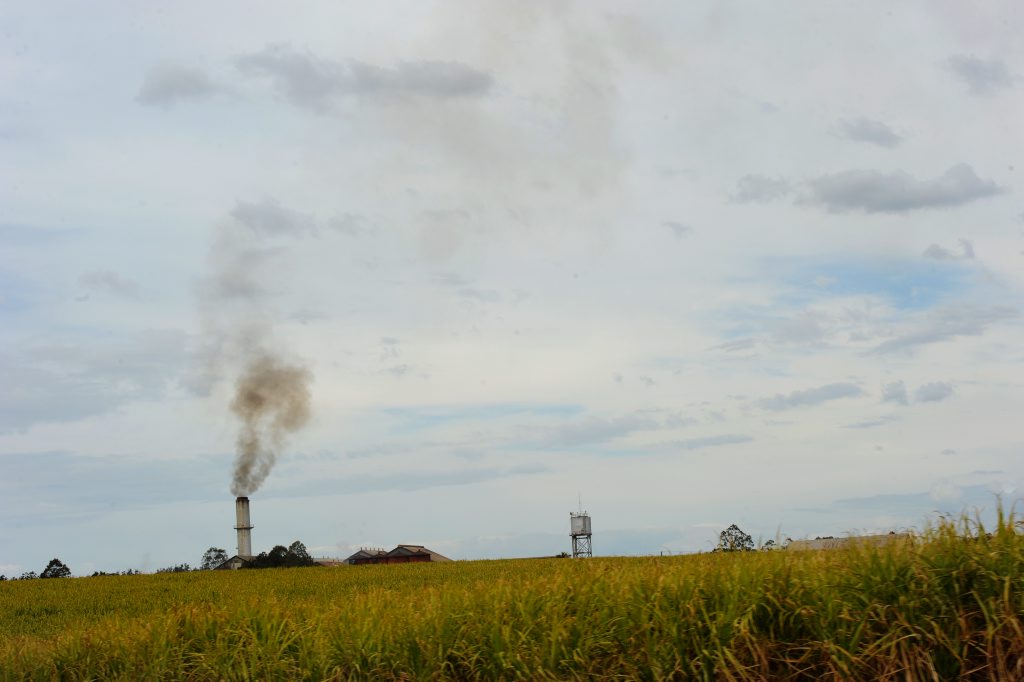 Wilmar Sugar is tied up in two separate legal battles Wilmar Sugar is tied up in two separate legal battles