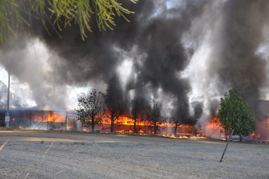FIERY END: Flames engulfed the piggery with rescue crews unable to save many animals. Photo Katherine Kokkonen / Central and North Burnett Times FIERY END: Flames engulfed the piggery with rescue crews unable to save many animals. Photo Katherine Kokkonen / Central and North Burnett Times