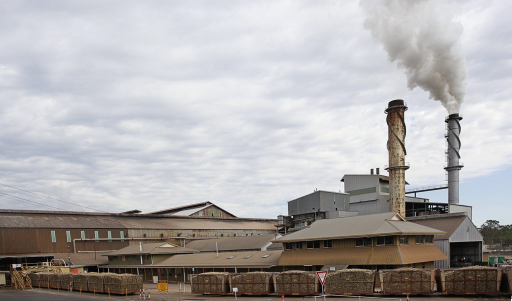 WORKPLACE Health and Safety are investigating after a 51-year-old man plunged more than 3m to his death at the Isis Central Mill. WORKPLACE Health and Safety are investigating after a 51-year-old man plunged more than 3m to his death at the Isis Central Mill.