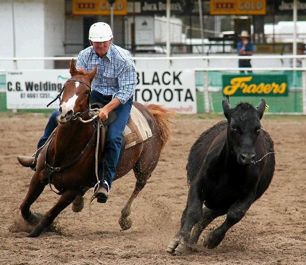 Campdrafting action at Killarney Recreation Grounds.