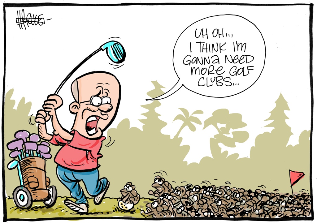 Harry Bruce cartoon of Frazer Pearce mobbed by cane toads on golf course. Harry Bruce cartoon of Frazer Pearce mobbed by cane toads on golf course.