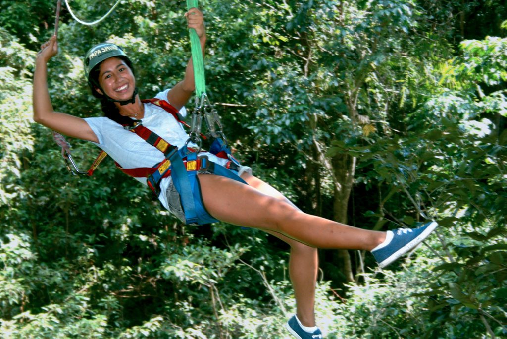 Expressions of interest are open for a Sunshine Coast zipline canopy tour. Expressions of interest are open for a Sunshine Coast zipline canopy tour.