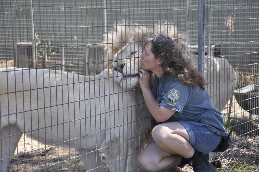 Stephanie Robinson, zoo-keeper at Darling Downs Zoo. Stephanie Robinson, zoo-keeper at Darling Downs Zoo.