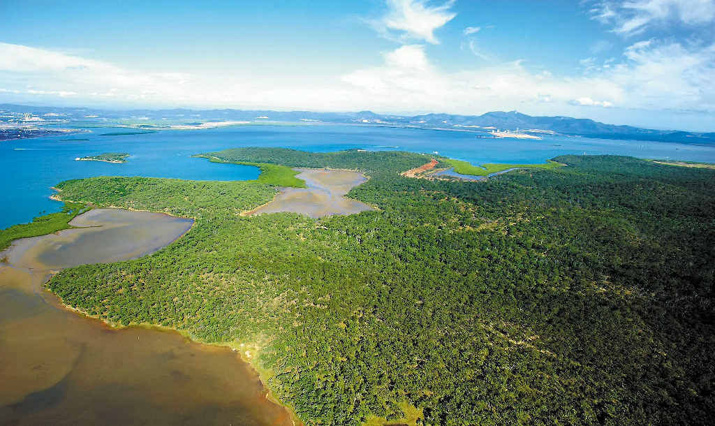An aerial shot of the potential site on Curtis Island, Gladstone, for the proposed Arrow Energy 18 million tonne per annum LNG plant. An aerial shot of the potential site on Curtis Island, Gladstone, for the proposed Arrow Energy 18 million tonne per annum LNG plant.