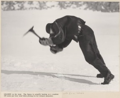 Australasian Antarctic Expedition lead by (1907-1914). The figure is actually leaning on a constant 100 miles per hour wind while picking ice for culinary purposes. Australasian Antarctic Expedition lead by (1907-1914). The figure is actually leaning on a constant 100 miles per hour wind while picking ice for culinary purposes.