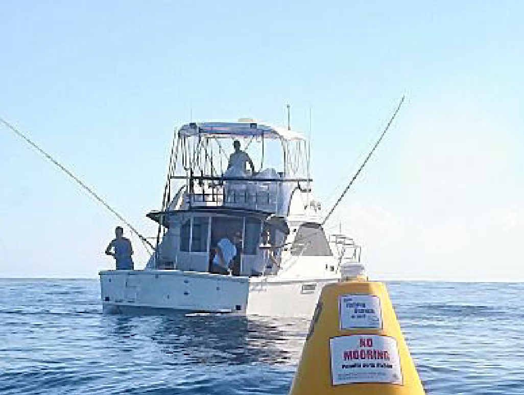 ALLURING: Fishers and fish are expected to be drawn to the NSW coast this summer thanks to fish-attracting devices (FADs).