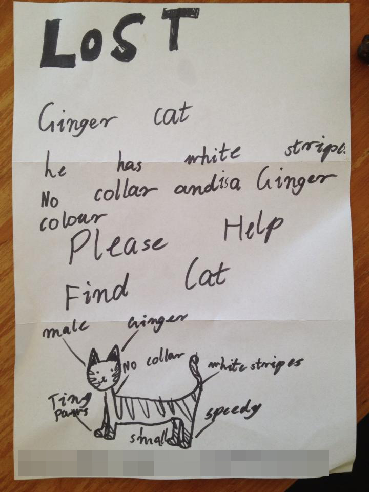 Children in Redcliffe have mailed out this adorable missing cat poster. Children in Redcliffe have mailed out this adorable missing cat poster.