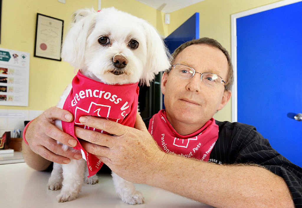 HEALTH CHECK: Veterinary surgeon Dr Tony Snell, with Missy Malone,encourages pet owners to examine their pets for lumps. HEALTH CHECK: Veterinary surgeon Dr Tony Snell, with Missy Malone,encourages pet owners to examine their pets for lumps.