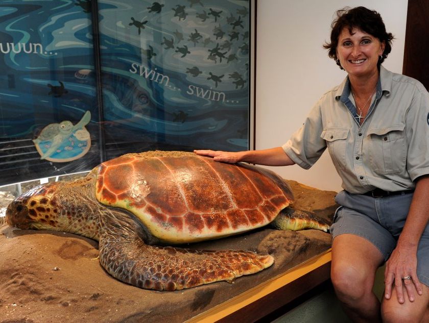TURTLE TOURS: Ranger Lisa Emmert at the Mon Repos turtle rookery. Turtle tours start on Saturday night. Photo: Mike Knott / NewsMail