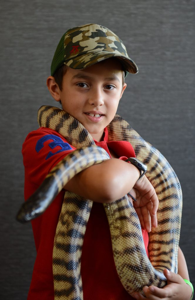 JJ Gambaro with a snake at the annual Scales and Tails Festival at North Ipswich Reserve on Saturday. Photo: Sarah Harvey / The Queensland Times JJ Gambaro with a snake at the annual Scales and Tails Festival at North Ipswich Reserve on Saturday. Photo: Sarah Harvey / The Queensland Times