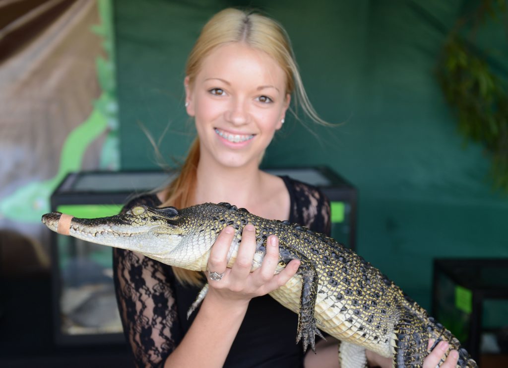 Image for sale: Caitlyn Hughes with a crocodile at the annual Scales and Tails Festival at North Ipswich Reserve on Saturday. Photo: Sarah Harvey / The Queensland Times
