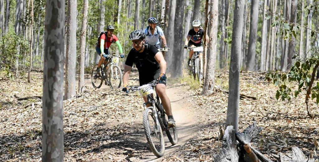 ON THEIR BIKES: Mountain bike G-BomB participants navigate the course during the race at Bom Bom State Forest on Saturday. PHOTO: DEBRA NOVAK ON THEIR BIKES: Mountain bike G-BomB participants navigate the course during the race at Bom Bom State Forest on Saturday. PHOTO: DEBRA NOVAK