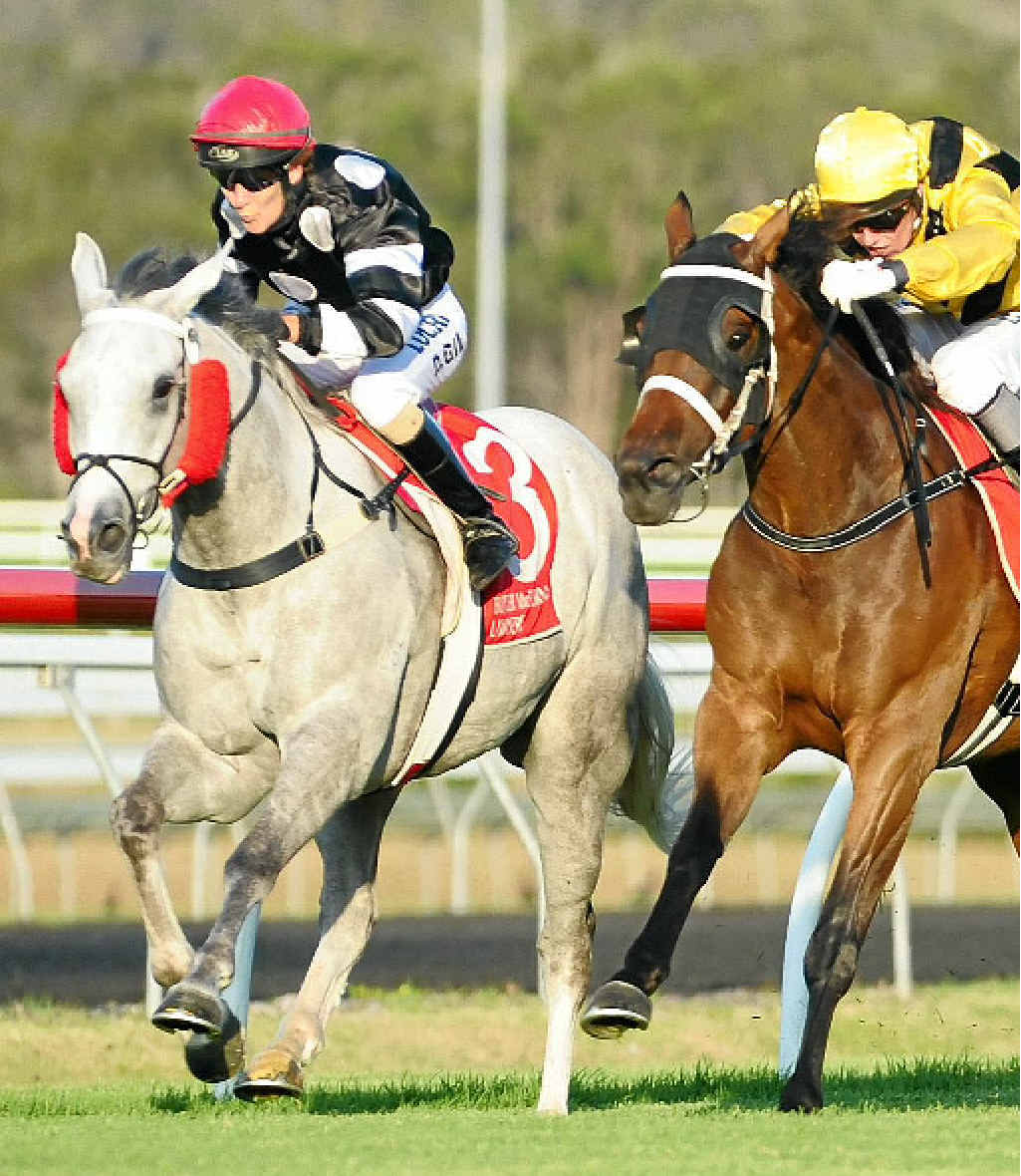 WINNER: Gold Cap captures race one at Sunshine Coast on Saturday. WINNER: Gold Cap captures race one at Sunshine Coast on Saturday.