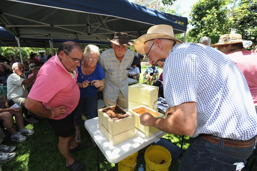 Beekeeper Doug Irvine shows John Effer, Gail Cobb and Ron Bishop how to the split the hive at his talk at the Hervey Bay Botanic Gardens. Beekeeper Doug Irvine shows John Effer, Gail Cobb and Ron Bishop how to the split the hive at his talk at the Hervey Bay Botanic Gardens.