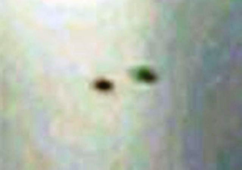 Strange objects spotted in the Tweed.