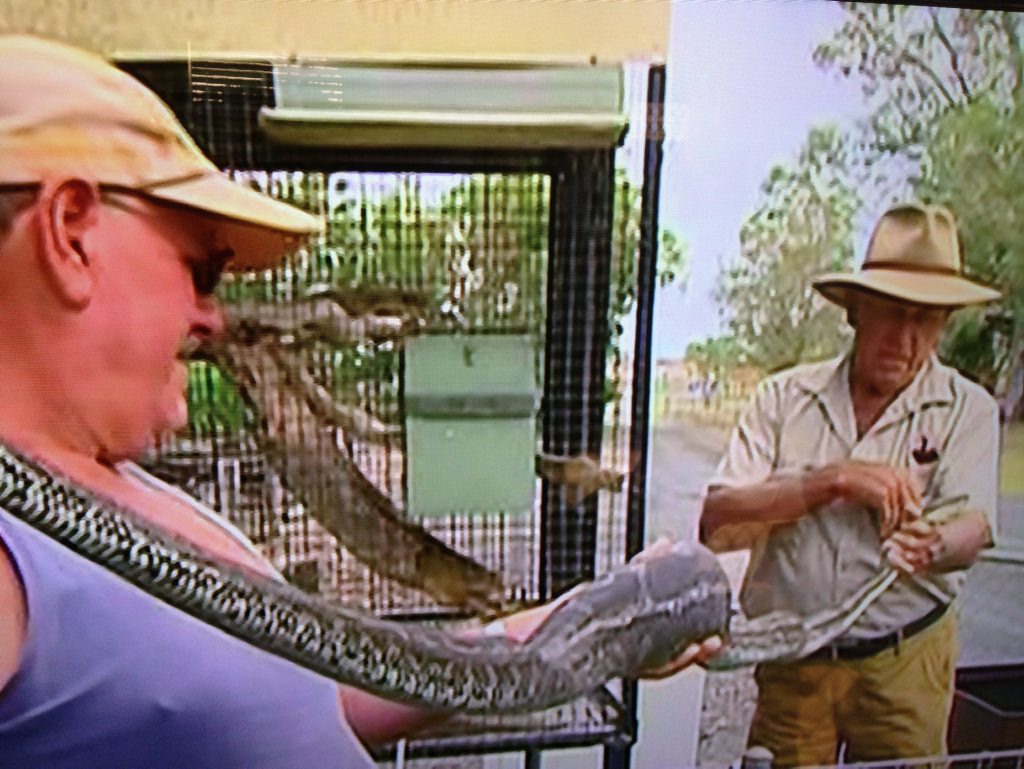 Snake catcher Roy McGrath (right) with a carpet snake that slipped inside a cage to eat a cockatoo and then couldn't get out. Snake catcher Roy McGrath (right) with a carpet snake that slipped inside a cage to eat a cockatoo and then couldn't get out.