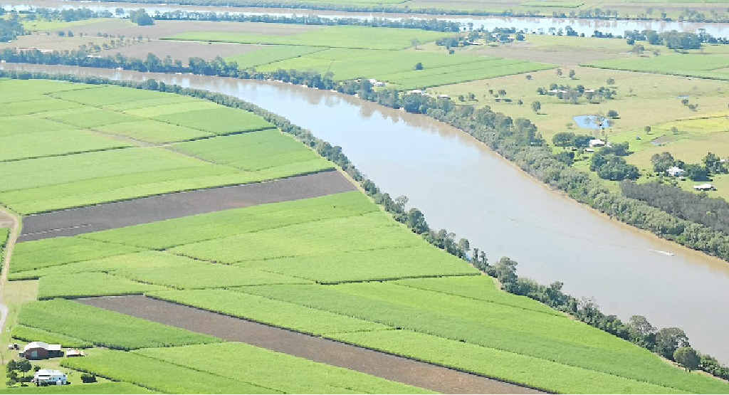 HELP: Agriculture is a growing business on the Fraser Coast which has just set up an advisory group. HELP: Agriculture is a growing business on the Fraser Coast which has just set up an advisory group.