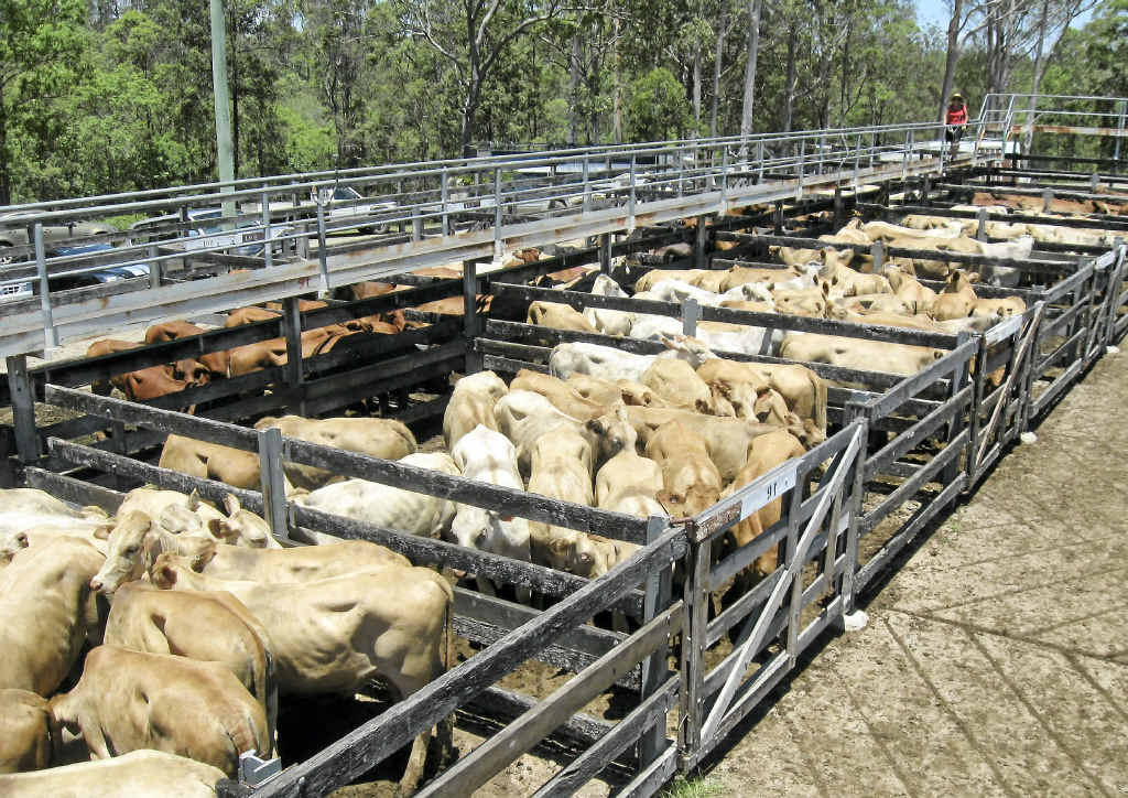 Demand For Heavy Feeders Observer