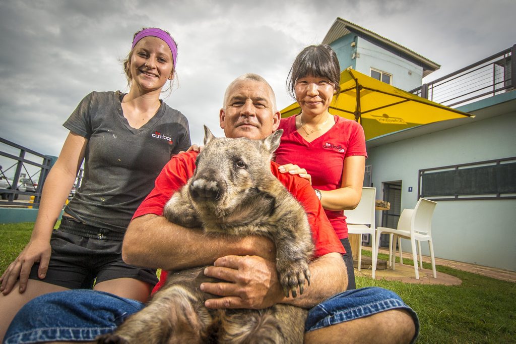 Wiggles the Southern Hairy Nosed Wombat, held by project manager Peter Brooks, is one of the marsupials at the Safe Haven breeding and research facility in Mt Larcom. Tayla Ashton, Mr Brooks and Su Lee spent the morning with Wiggles at the Outlook Cafe on Friday. Wiggles the Southern Hairy Nosed Wombat, held by project manager Peter Brooks, is one of the marsupials at the Safe Haven breeding and research facility in Mt Larcom. Tayla Ashton, Mr Brooks and Su Lee spent the morning with Wiggles at the Outlook Cafe on Friday.