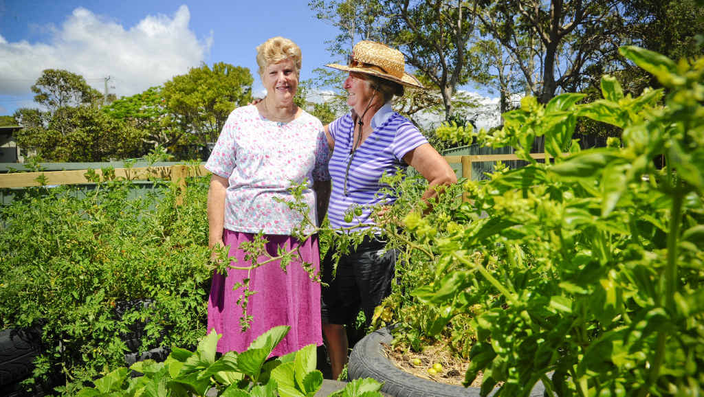 INVOLVED: Iluka Meals on Wheels’ Marion Kurz and Iluka Community Garden’s Linda Marney with some of the vegies in the garden. Photo JoJo Newby INVOLVED: Iluka Meals on Wheels’ Marion Kurz and Iluka Community Garden’s Linda Marney with some of the vegies in the garden. Photo JoJo Newby