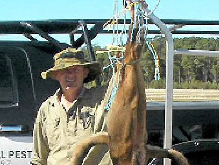 CLOSE TO HOME: Professional feral animal trapper Mark Loosemore recently dealt with wild dogs within 2km of the Lismore CBD. CLOSE TO HOME: Professional feral animal trapper Mark Loosemore recently dealt with wild dogs within 2km of the Lismore CBD.