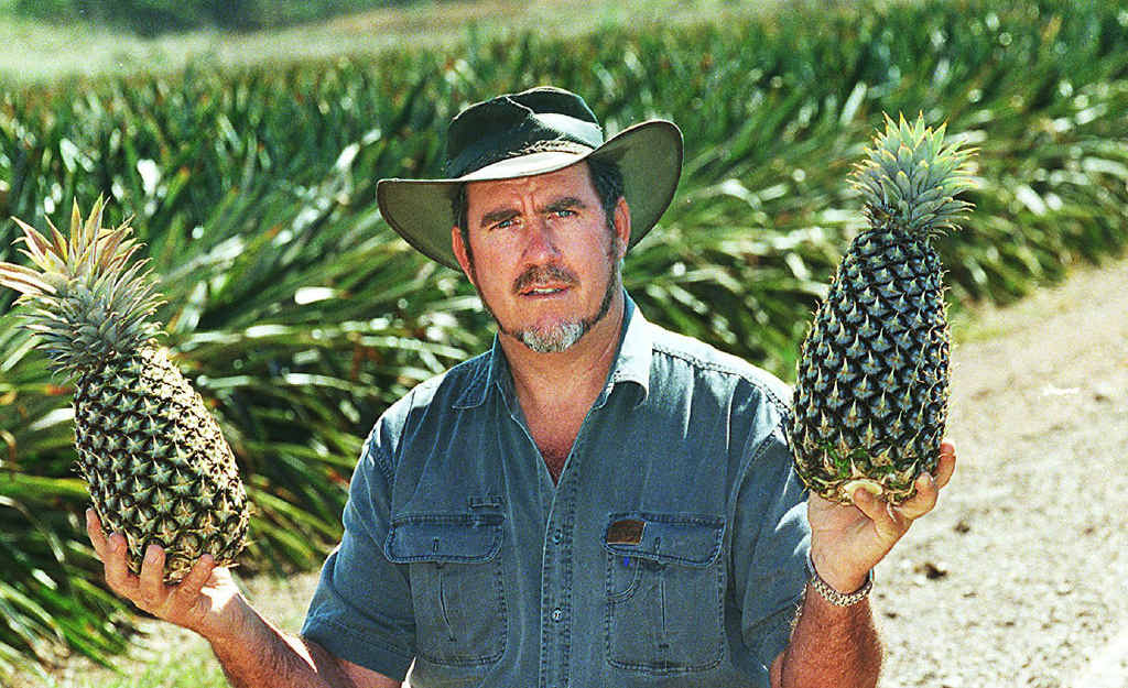 HOW SWEET IT IS: Former owner Mick Cranny displays the fruits of his labour from the working pineapple farm, which is set to be transformed into a $500 million, 950-allotment residential development. Inset: HomeCorp Property Group CEO Ron Bakir. HOW SWEET IT IS: Former owner Mick Cranny displays the fruits of his labour from the working pineapple farm, which is set to be transformed into a $500 million, 950-allotment residential development. Inset: HomeCorp Property Group CEO Ron Bakir.
