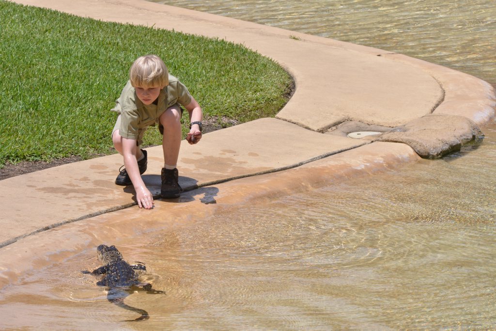 Robert Irwin turns 10 and celebrates at Australia Zoo with his first feeding of a saltwater crocodile. Photo: John McCutcheon / Sunshine Coast Daily Robert Irwin turns 10 and celebrates at Australia Zoo with his first feeding of a saltwater crocodile. Photo: John McCutcheon / Sunshine Coast Daily