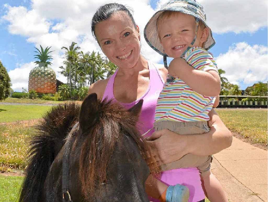 UP CLOSE: Regular Big Pineapple visitors Philippa Hayball and her son Joshua, 2, can’t wait to meet the Alma Park Zoo animals. UP CLOSE: Regular Big Pineapple visitors Philippa Hayball and her son Joshua, 2, can’t wait to meet the Alma Park Zoo animals.