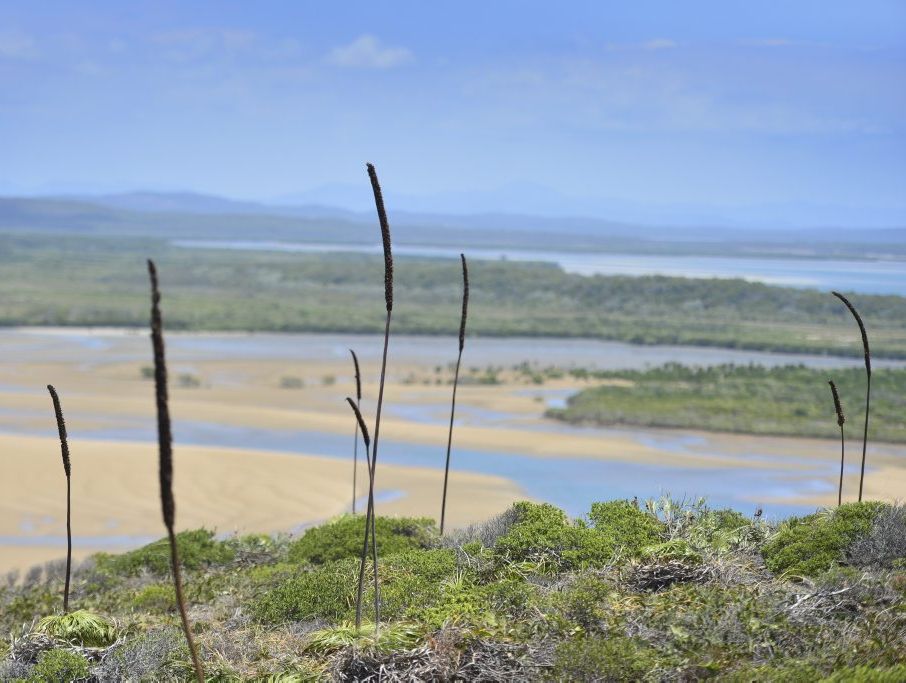 The stunning view looking down on the beach heading back to 1770 from Bustard Heads Lighthouse. The stunning view looking down on the beach heading back to 1770 from Bustard Heads Lighthouse.