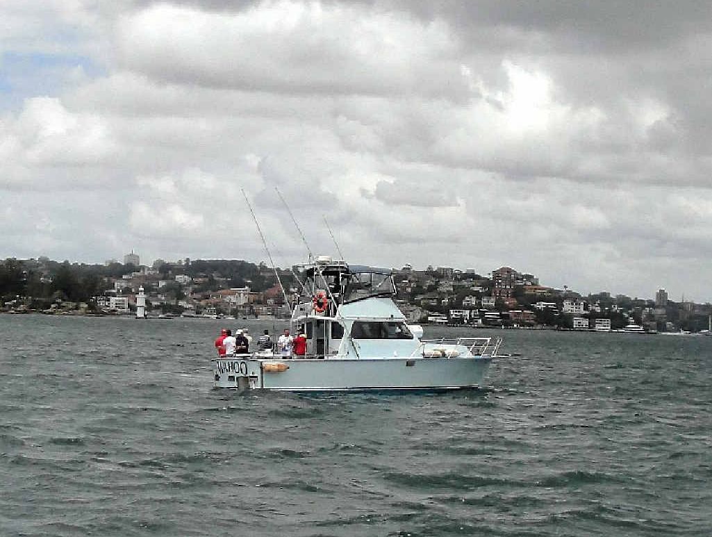 CRAZY IDEA: Charter boat with guests fishing in Sydney Harbour last Saturday. CRAZY IDEA: Charter boat with guests fishing in Sydney Harbour last Saturday.