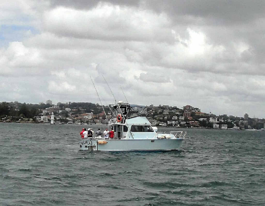 CRAZY IDEA: Charter boat with guests fishing in Sydney Harbour last Saturday. CRAZY IDEA: Charter boat with guests fishing in Sydney Harbour last Saturday.