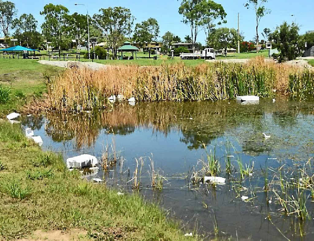FLOATING FREE: Polystyrene blocks float in Chase Lake on Thursday. FLOATING FREE: Polystyrene blocks float in Chase Lake on Thursday.