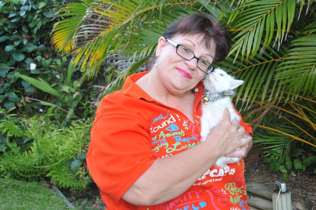 Friends of RSPCA cat coordinator Anita Coad with eight-week-old Chuckie. Friends of RSPCA cat coordinator Anita Coad with eight-week-old Chuckie.