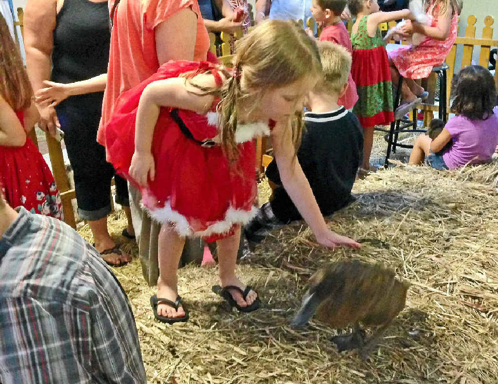 Vegan Warriors says it will protest the Lifepointe Baptist Church if it doesn't drop its popular petting zoo. Vegan Warriors says it will protest the Lifepointe Baptist Church if it doesn't drop its popular petting zoo.