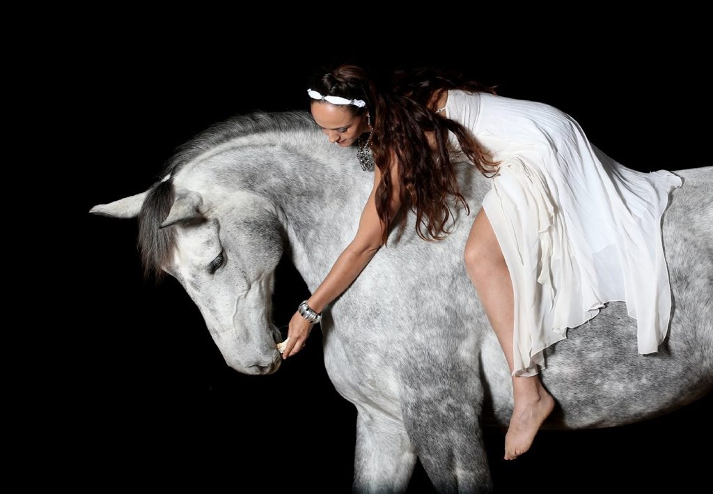 Byron Bay Equestrian Centre Presents their Equestrian Gala Spectacular Equillius this weekend. Byron Bay Equestrian Centre Presents their Equestrian Gala Spectacular Equillius this weekend.