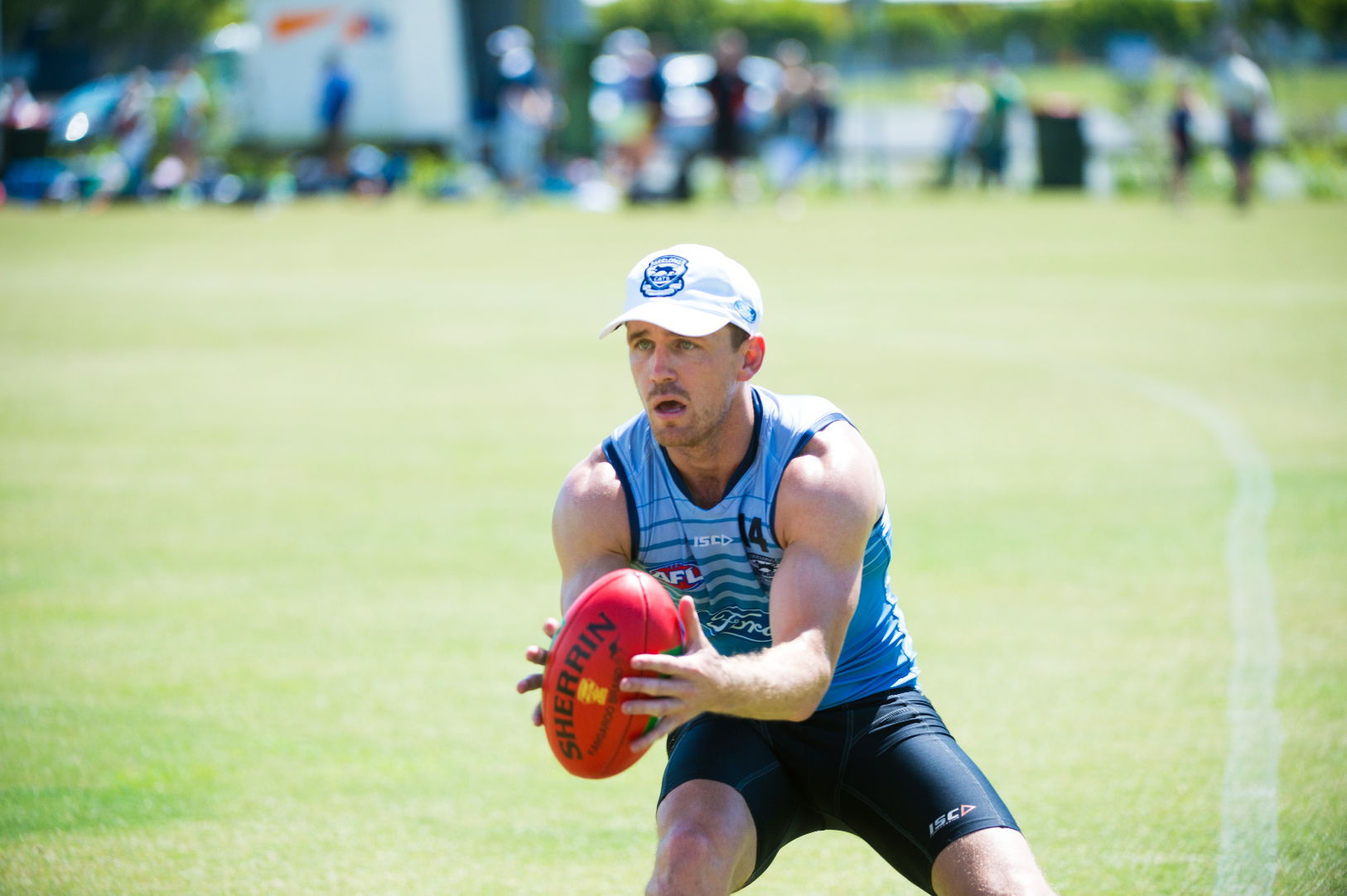 Geelong captain Joel Selwood looks for a teammate to pass to during the Cats' first open training session as part of its pre-season camp in Coffs Harbour. Photo: Trevor Veale / Coffs Coast Advocate Geelong captain Joel Selwood looks for a teammate to pass to during the Cats' first open training session as part of its pre-season camp in Coffs Harbour. Photo: Trevor Veale / Coffs Coast Advocate