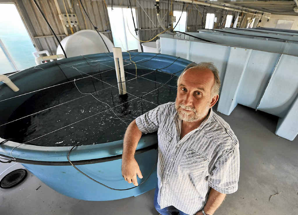 HARD KNOCK: Coral Coast Mariculture has been placed in administration. Managing director Clive Keenan is said to be overseas. HARD KNOCK: Coral Coast Mariculture has been placed in administration. Managing director Clive Keenan is said to be overseas.