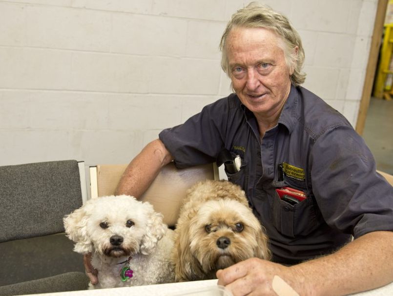 Hayden Hickey with his dogs Kate and Lucy after an attack by hunting dogs. Hayden Hickey with his dogs Kate and Lucy after an attack by hunting dogs.