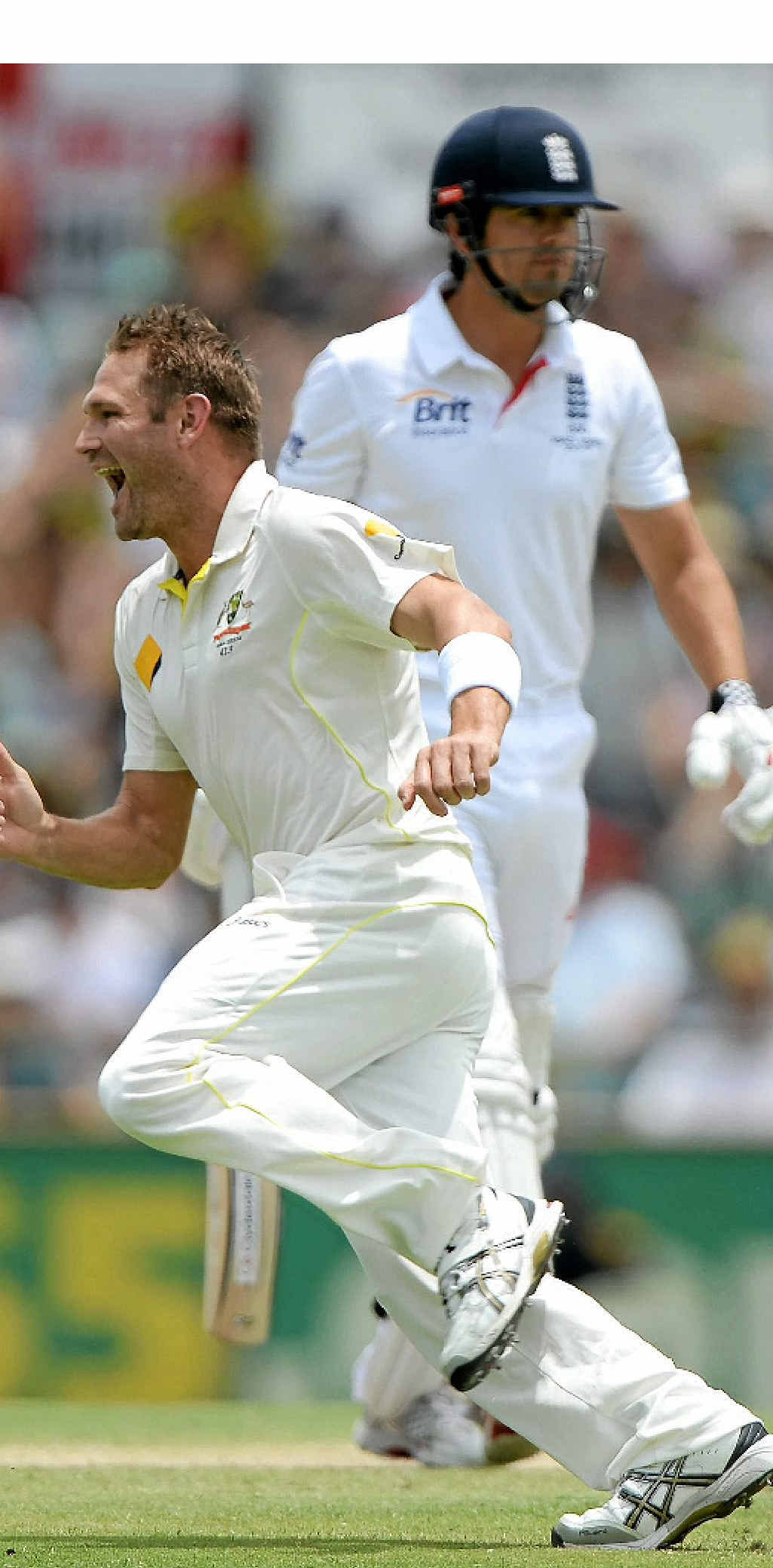 CAPTAIN COOKED: Ryan Harris celebrates dismissing England captain Alastair Cook first ball on day four at the WACA. CAPTAIN COOKED: Ryan Harris celebrates dismissing England captain Alastair Cook first ball on day four at the WACA.