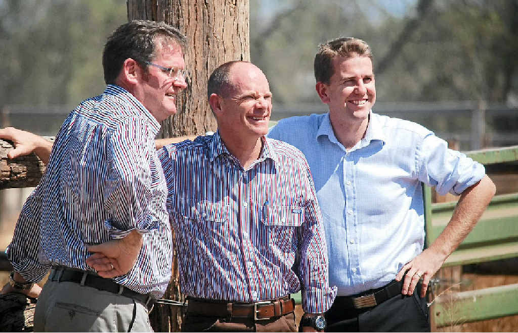 TREE’S COMPANY: Agriculture Minister John McVeigh, Premier Newman and Attorney-General Jarrod Bleijie. TREE’S COMPANY: Agriculture Minister John McVeigh, Premier Newman and Attorney-General Jarrod Bleijie.