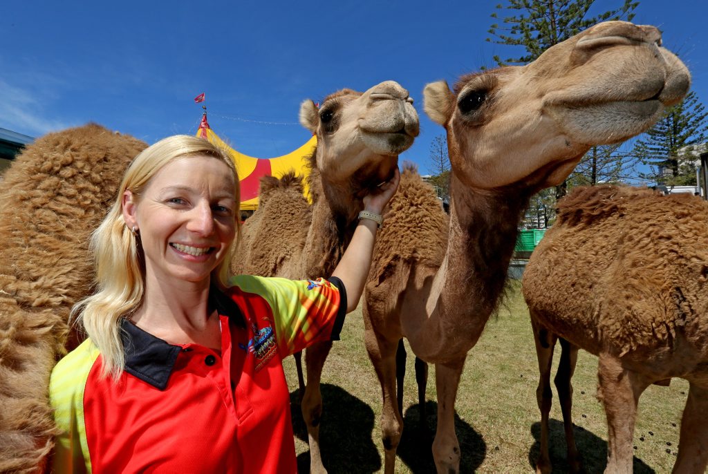 Animal trainer Belinda McGahan from Hudsons Circus. Photo: Nolan Verheij-full / Daily News Animal trainer Belinda McGahan from Hudsons Circus. Photo: Nolan Verheij-full / Daily News