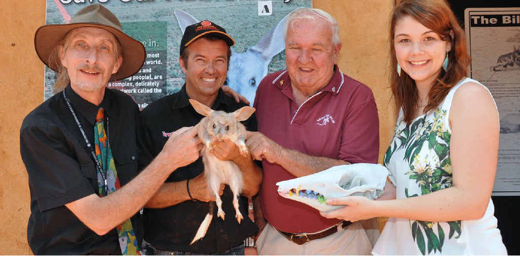 DOWN IN THE MOUTH: Scientists have gained a better understanding of severe dental problem in bilbies and how to treat them by using advanced CT scans and 3D printed models. (from left) Dr Simon Collins, Al Mucci, Frank Manthey, and Samantha Nixon. DOWN IN THE MOUTH: Scientists have gained a better understanding of severe dental problem in bilbies and how to treat them by using advanced CT scans and 3D printed models. (from left) Dr Simon Collins, Al Mucci, Frank Manthey, and Samantha Nixon.